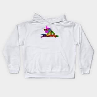 Funny Chameleon Kids Hoodie